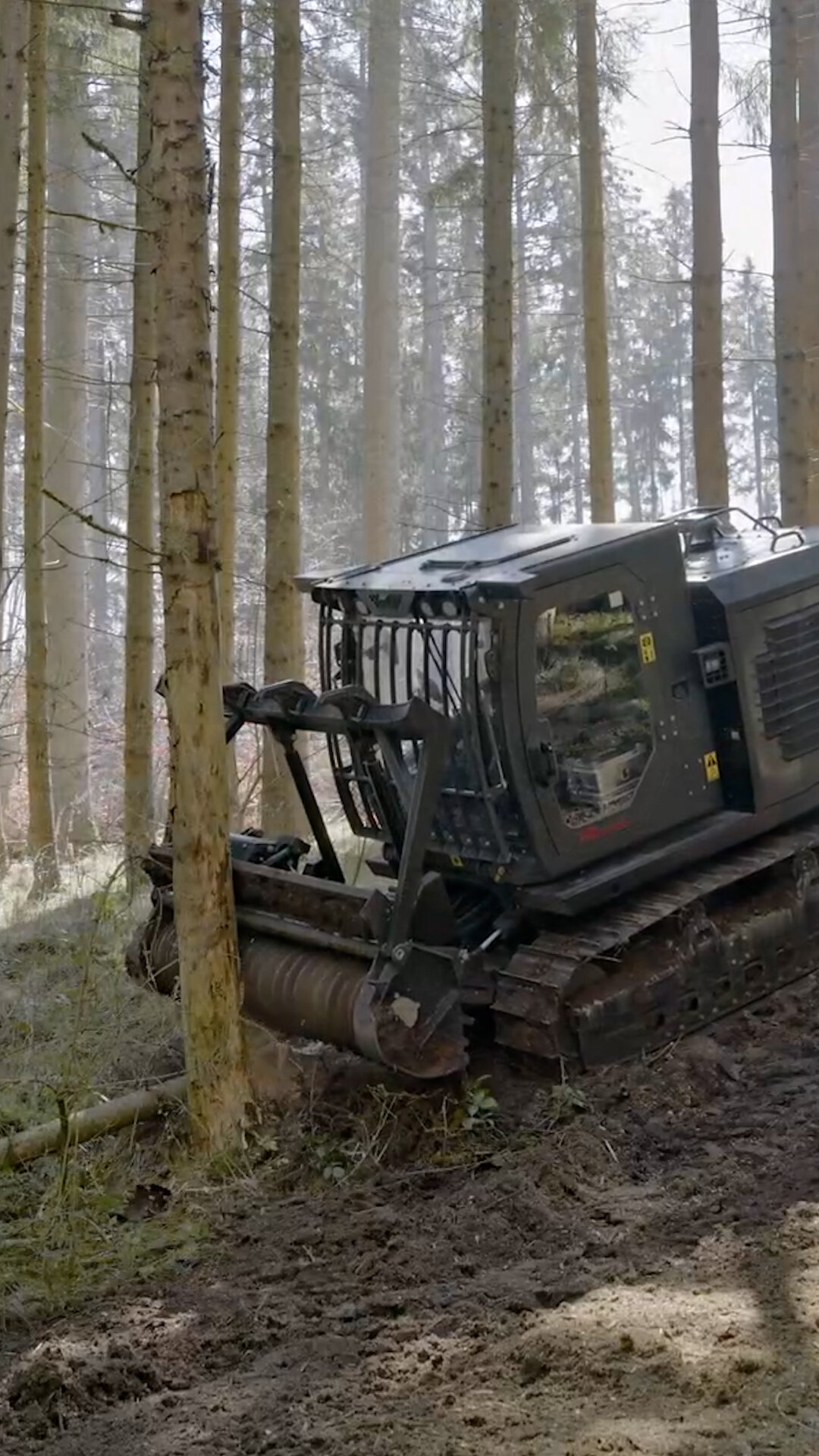 VEGETATION<br />
MANAGEMENT